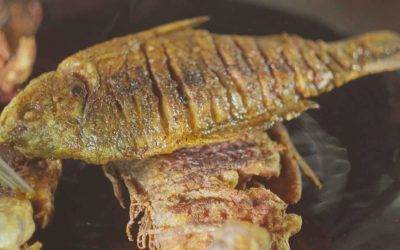 Paprikás lisztben kisütött hal – Egy szenzációs magyaros recept